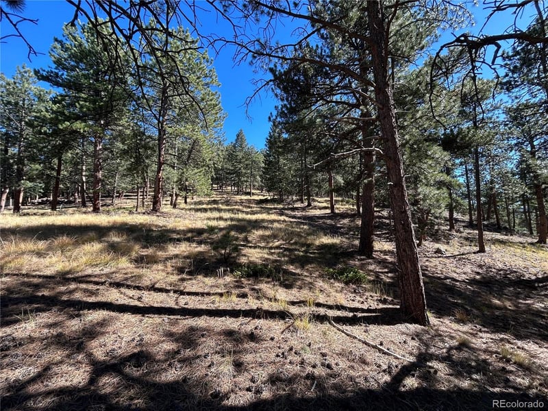 0 White House, Evergreen, CO 80439