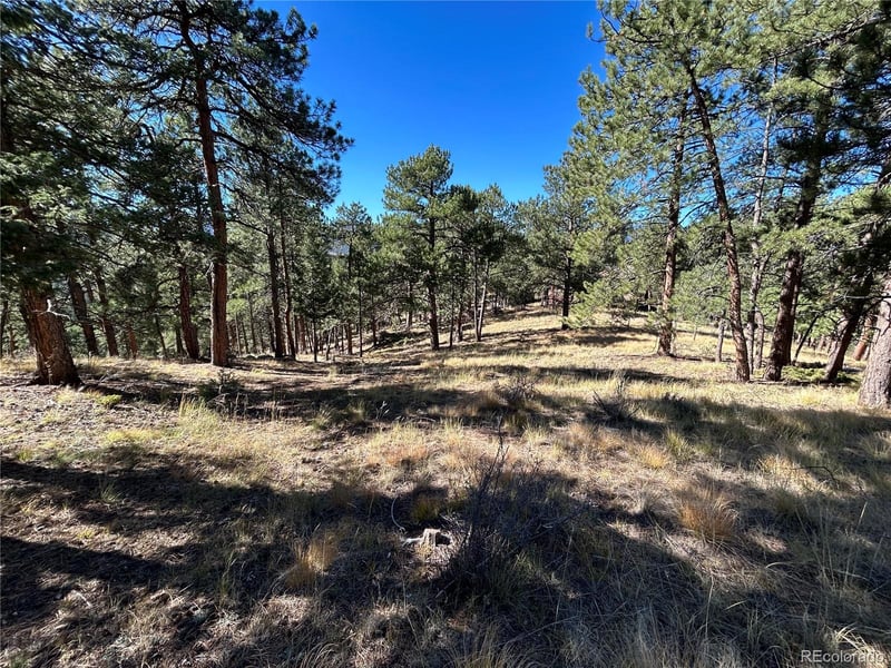 0 White House, Evergreen, CO 80439