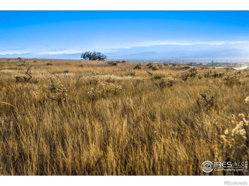 7895 County Road 84, Fort Collins, CO 80524