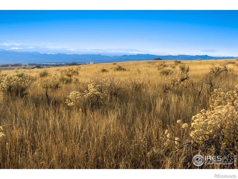 7895 County Road 84, Fort Collins, CO 80524