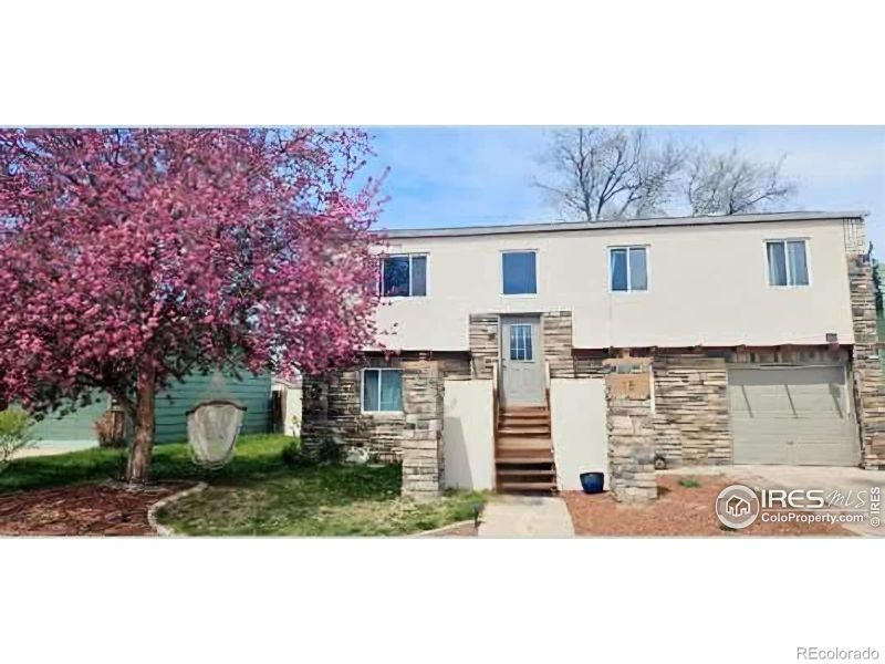 18 Tulip Ct, Windsor, CO 80550