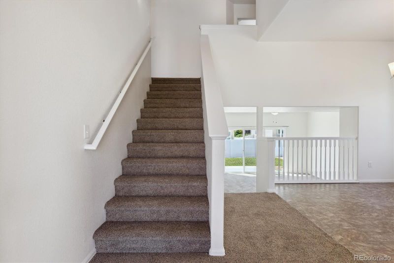 719 Elk Mountain Dr, Severance, CO 80550