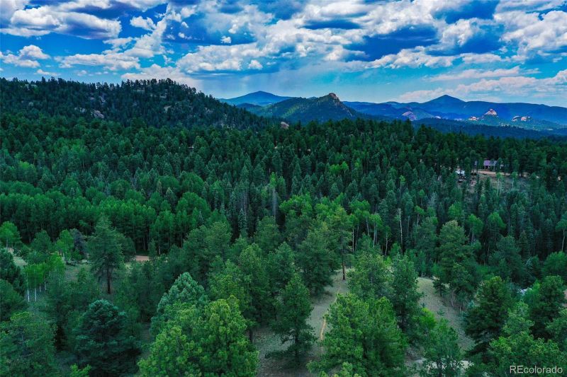 525 Spring Valley Ln, Florissant, CO 80816