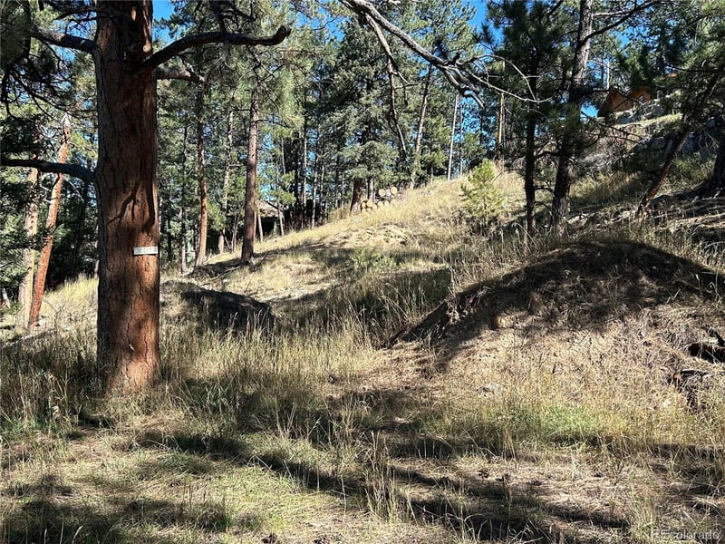 0 Pine Rd, Evergreen, CO 80439