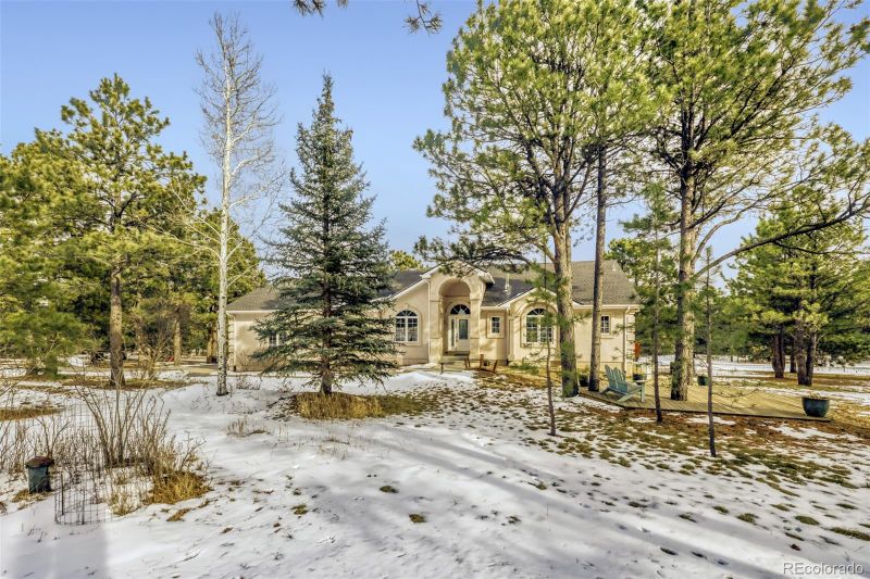 725 Lancers Ct W, Monument, CO 80132