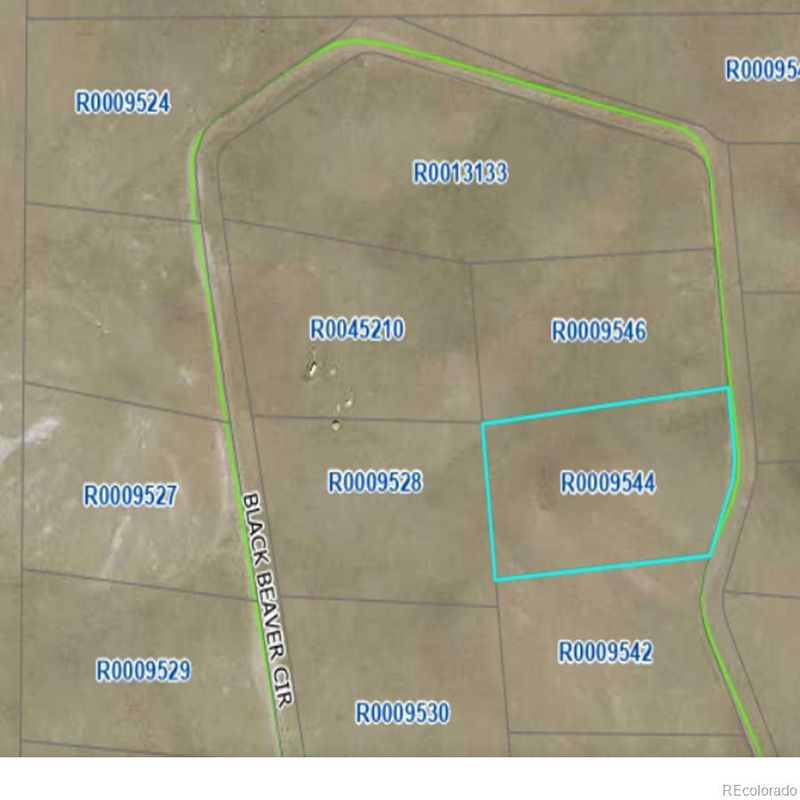 758 Black Beaver Cir, Hartsel, CO 80449