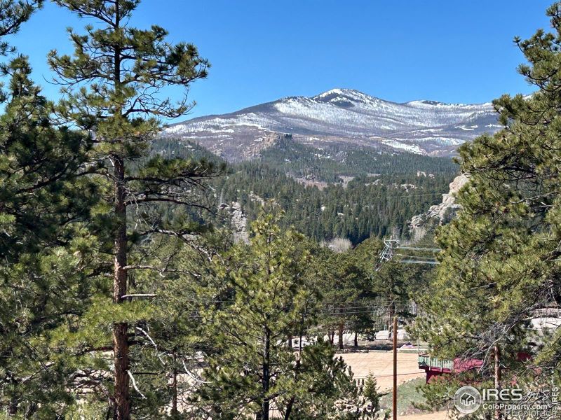 295 Piney Knolls Dr, Red Feather Lakes, CO 80545
