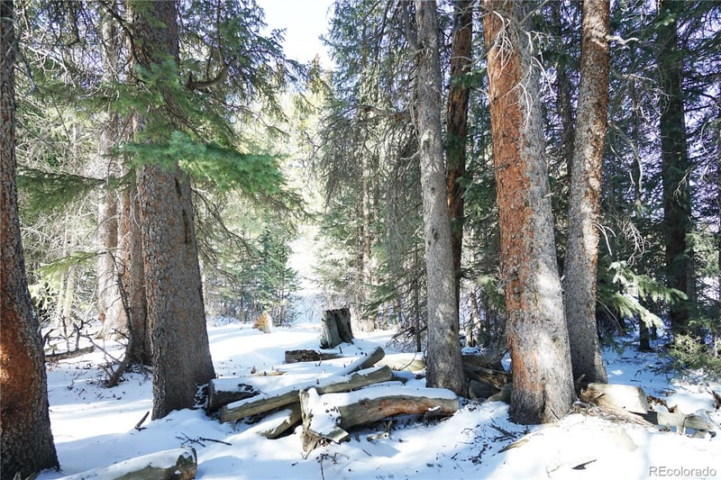 14 Rena Rd, Breckenridge, CO 80424