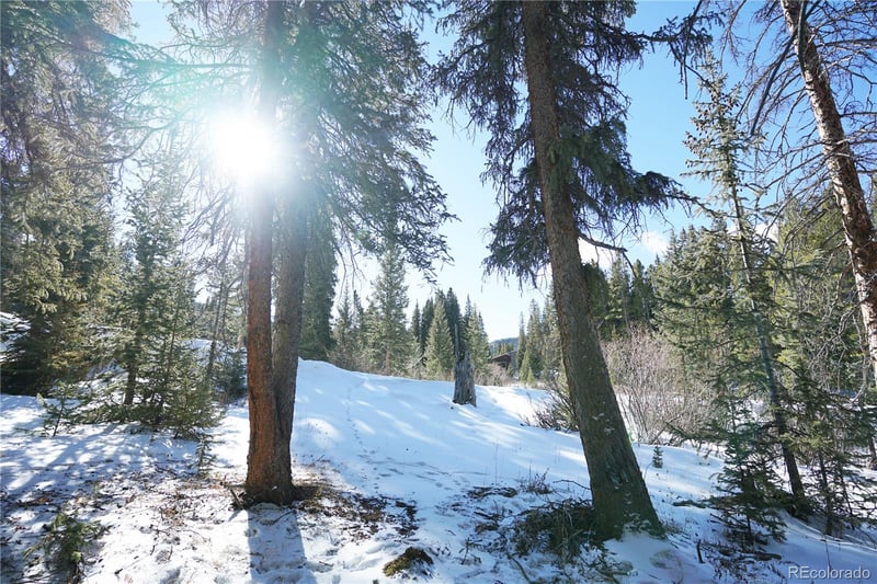 14 Rena Rd, Breckenridge, CO 80424