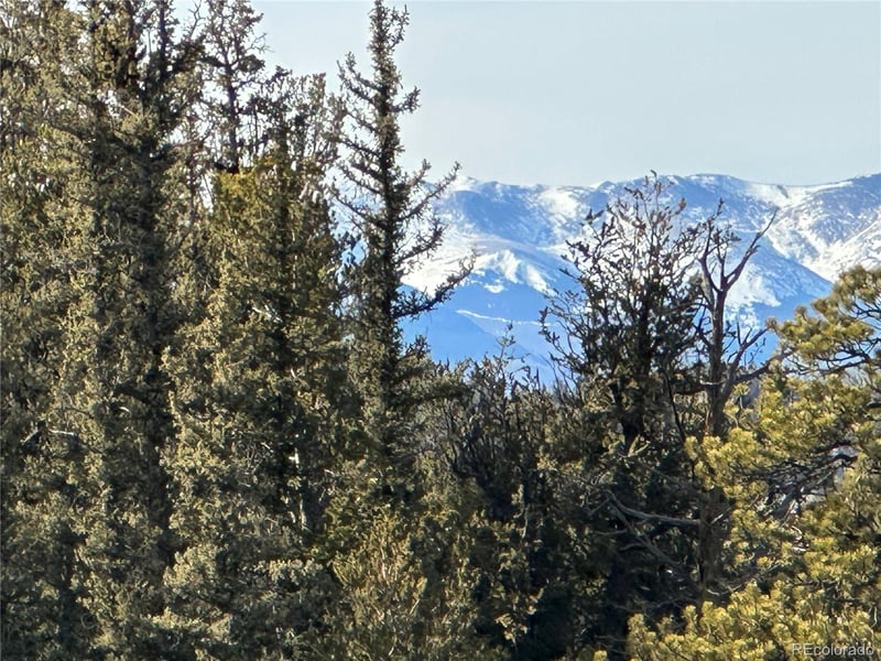 1289 Willow Way, Jefferson, CO 80456