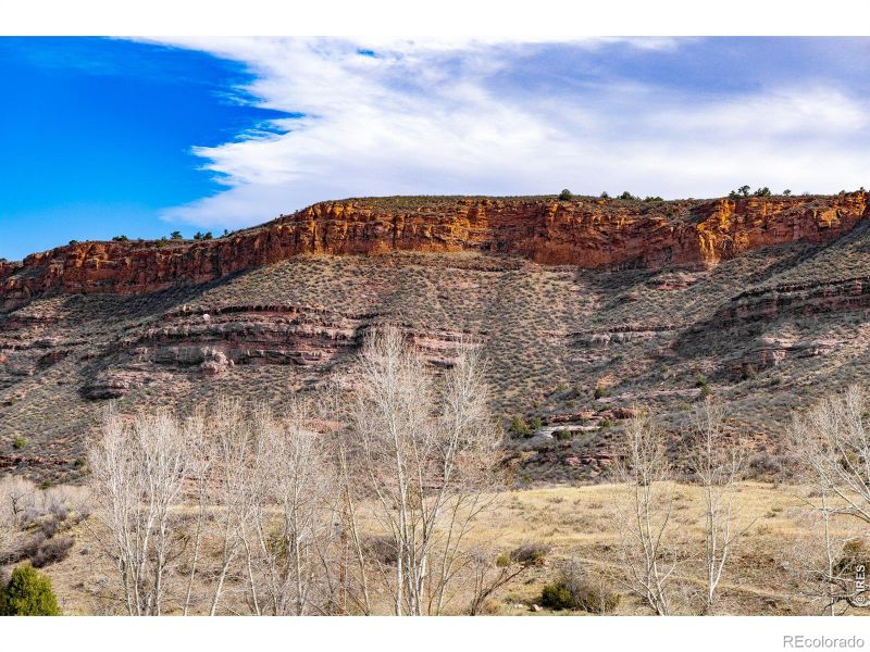 9316 Tawny Lynx Rd, Loveland, CO 80538