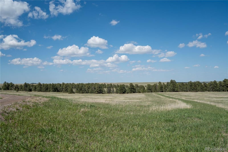 TBD-3 Paradise Cir Lot 3, Elizabeth, CO 80107