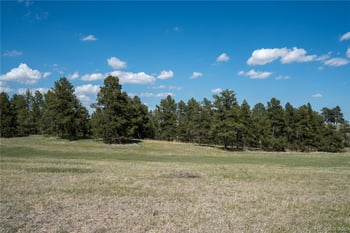TBD-3 Paradise Cir Lot 3, Elizabeth, CO 80107