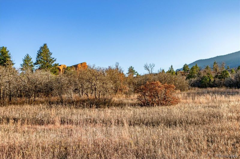 6150 Olympic Ct, Larkspur, CO 80118