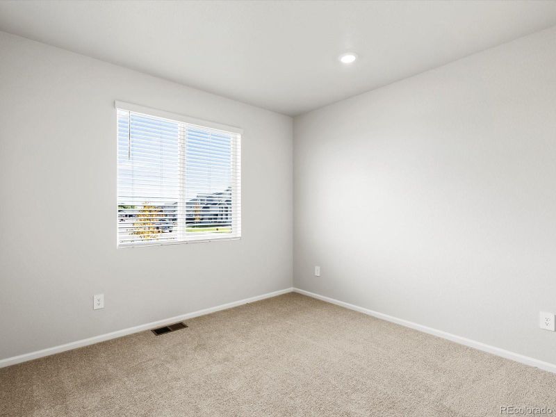 1626 Rumley Creek Dr, Windsor, CO 80550