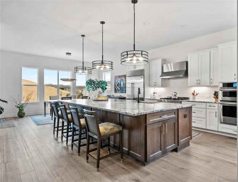 734 Alumroot St, Castle Rock, CO 80104
