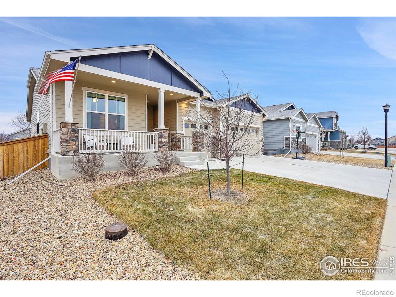 1883 Vista Plaza St, Severance, CO 80550