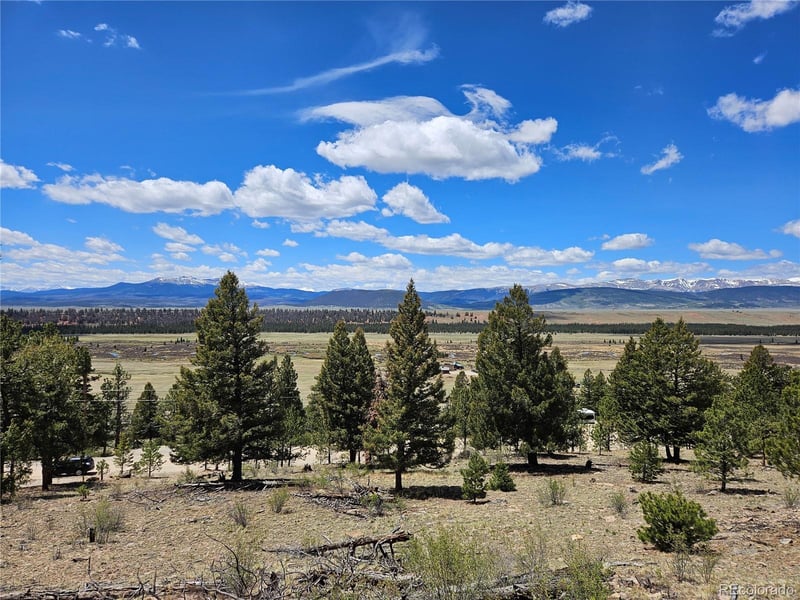 Bonell Dr Lot 395, Fairplay, CO 80440