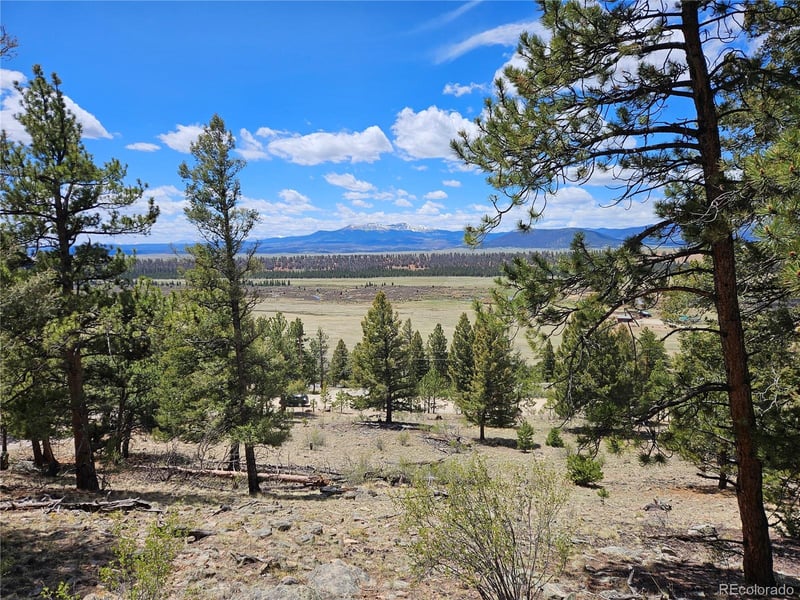Bonell Dr Lot 395, Fairplay, CO 80440