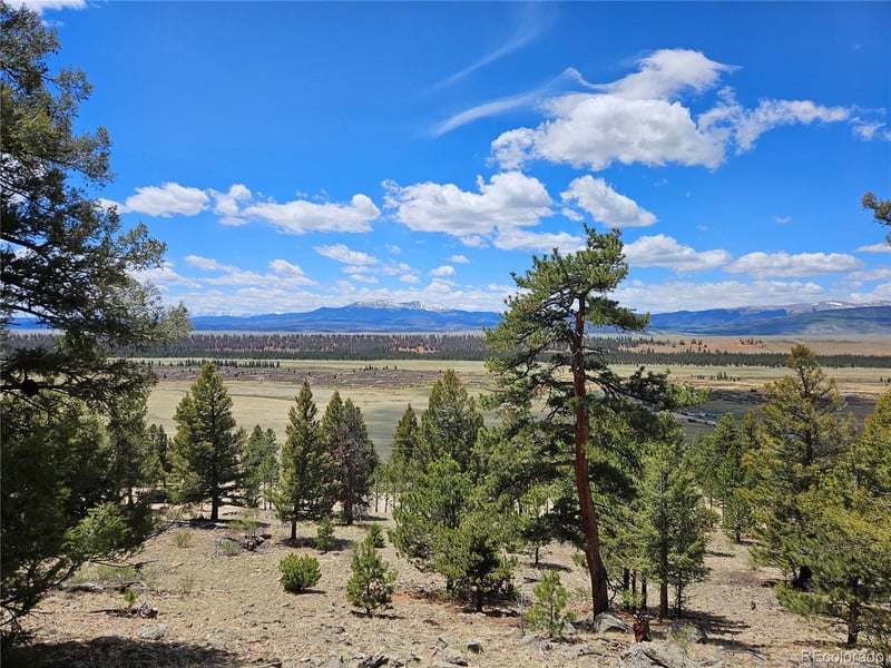 Bonell Dr Lot 395, Fairplay, CO 80440