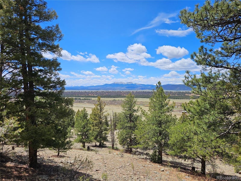 Bonell Dr Lot 395, Fairplay, CO 80440