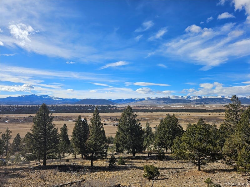Bonell Dr Lot 395, Fairplay, CO 80440
