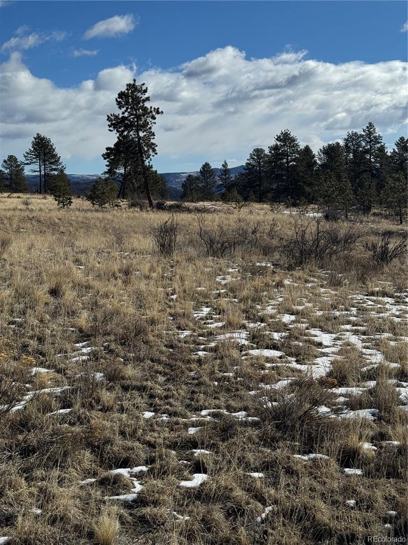861A State Highway 24, Lake George, CO 80827