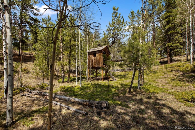 1011 W Bison Creek Trl, Divide, CO 80814