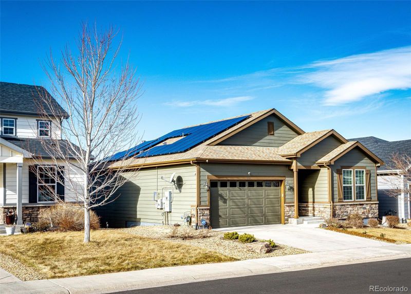 590 Tippen Pl, Castle Rock, CO 80104