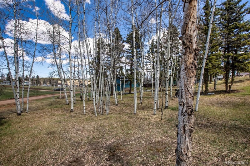 571 Will Scarlet Dr, Divide, CO 80814