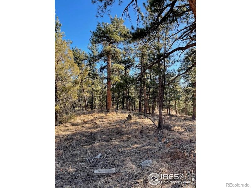 0 Pine Dr, Lyons, CO 80540
