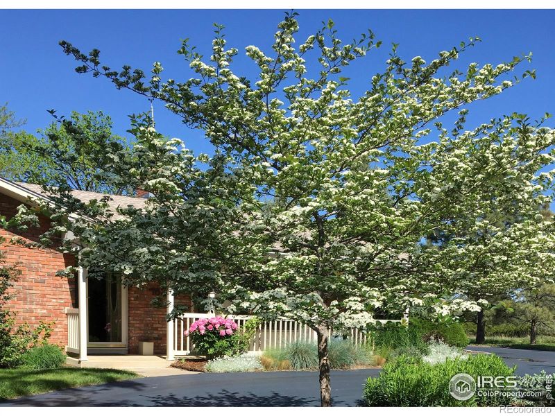 1833 Ridgecrest Rd, Fort Collins, CO 80524