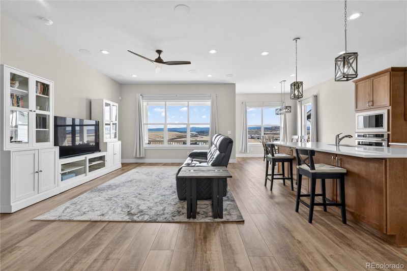 289 Leafy Aster Ln, Castle Rock, CO 80104