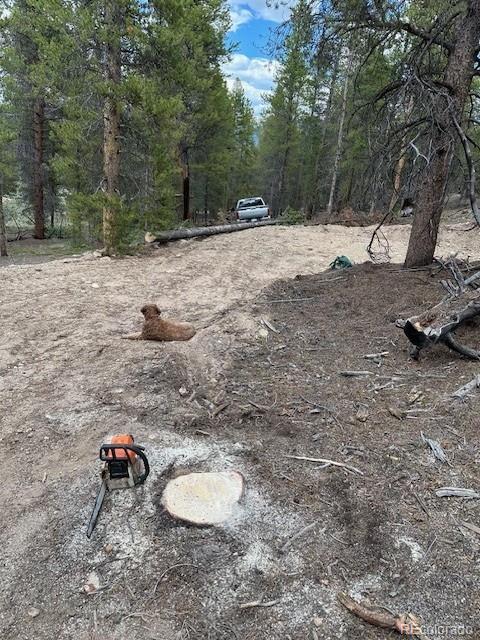 123 Lodgepole Dr, Leadville, CO 80461