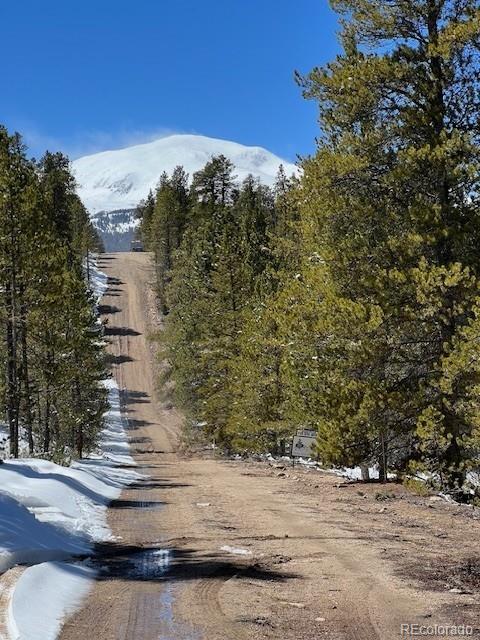 123 Lodgepole Dr, Leadville, CO 80461