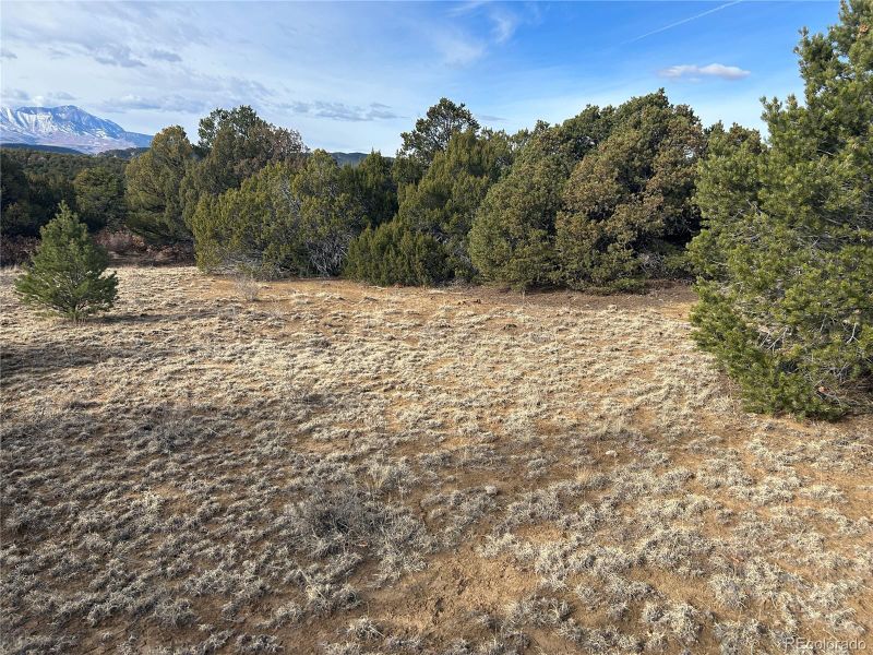 Lot 142a Silver Spurs Ranch Lot 142a, Walsenburg, CO 81089
