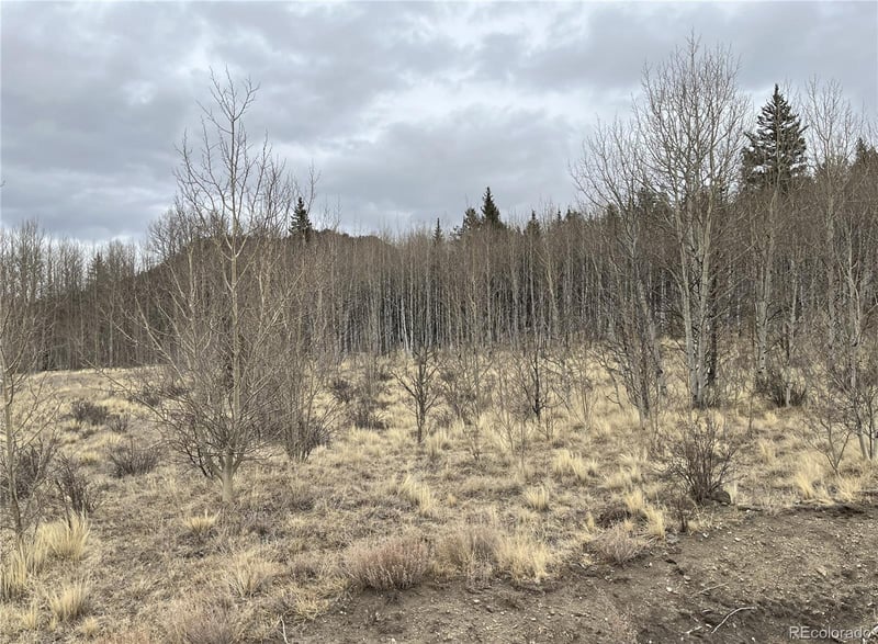 688 Ouray Trl, Como, CO 80432