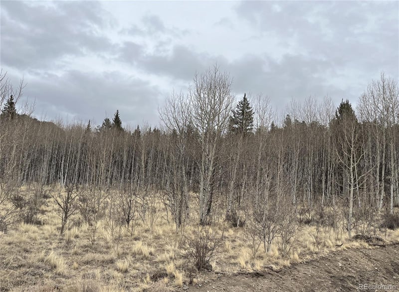 688 Ouray Trl, Como, CO 80432