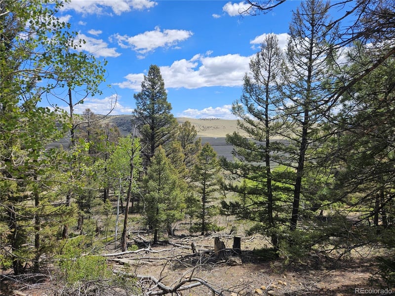 1412 Redhill Rd Lot 129, Fairplay, CO 80440