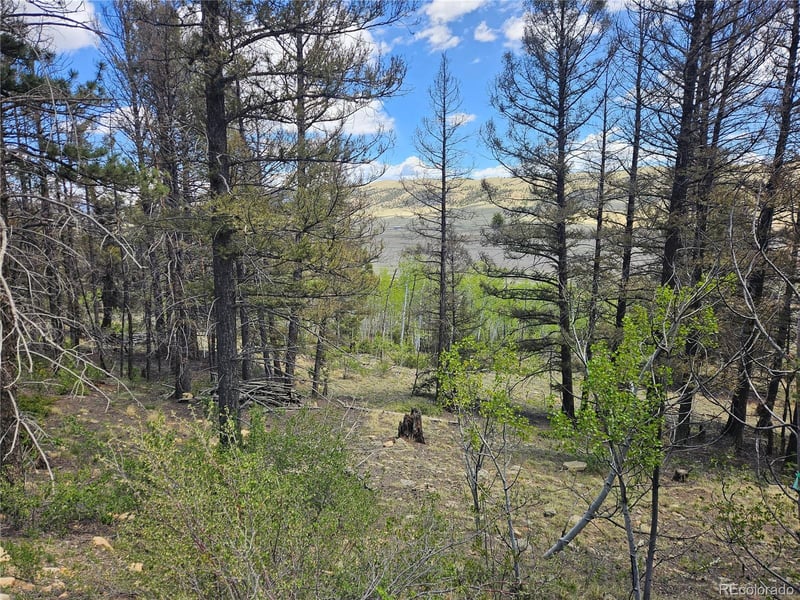 1412 Redhill Rd Lot 129, Fairplay, CO 80440