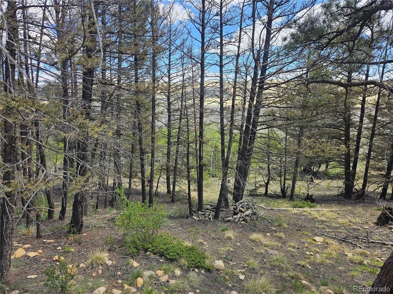 1412 Redhill Rd Lot 129, Fairplay, CO 80440