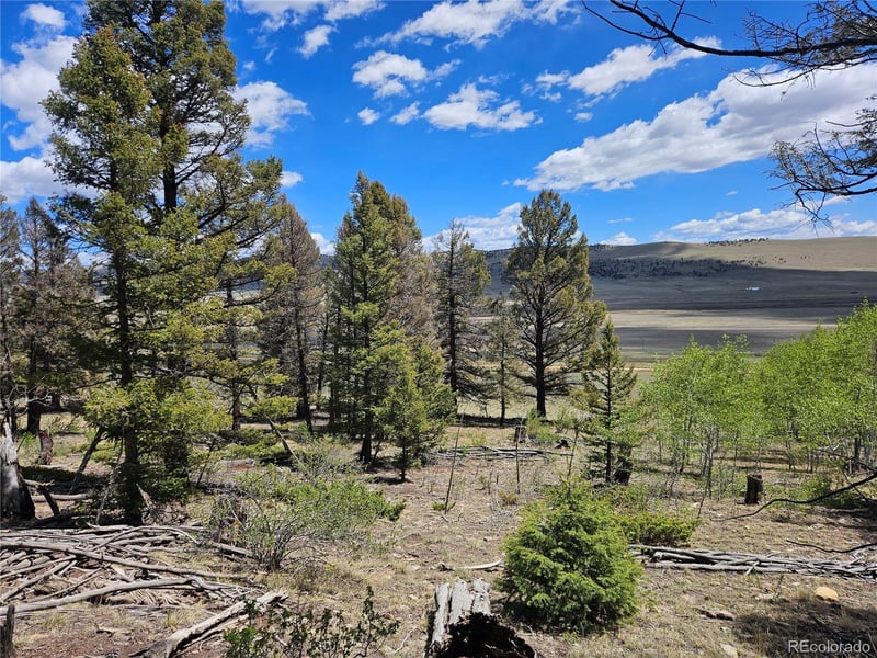 1412 Redhill Rd Lot 129, Fairplay, CO 80440