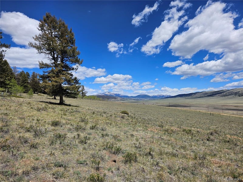 1412 Redhill Rd Lot 129, Fairplay, CO 80440