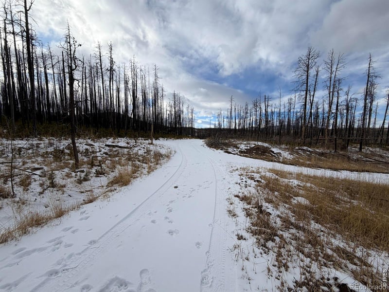 2025 Granite Rd, Bellvue, CO 80512