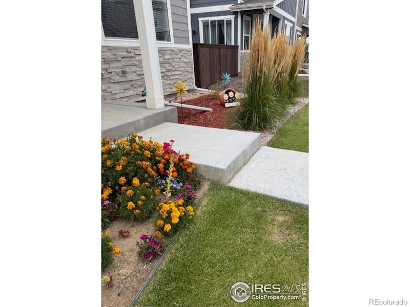 1163 Summit Vista Dr, Berthoud, CO 80513