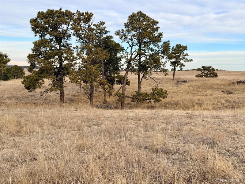 06 County Road 122, Ramah, CO 80832