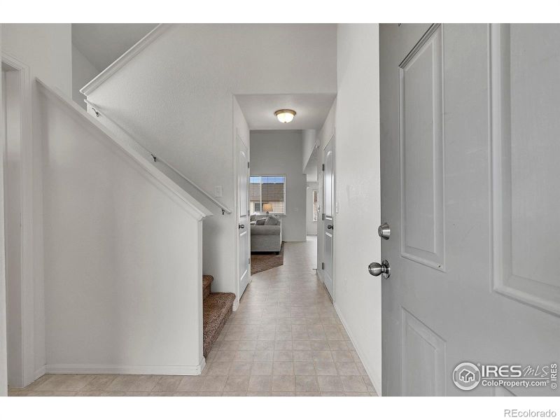 831 Sambar Dr, Severance, CO 80550