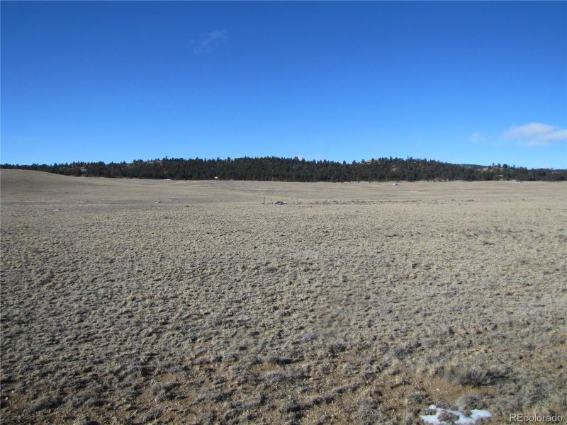 642 N Margaret Pl, Hartsel, CO 80449