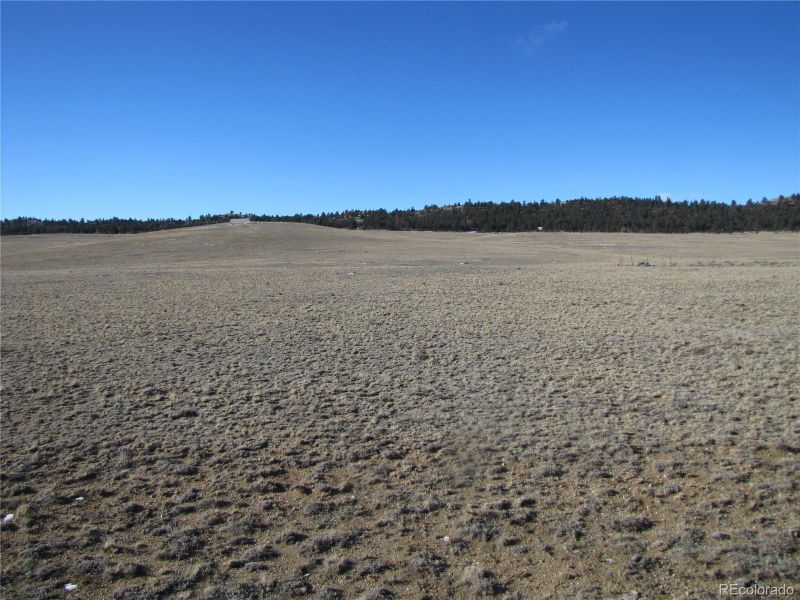 642 N Margaret Pl, Hartsel, CO 80449