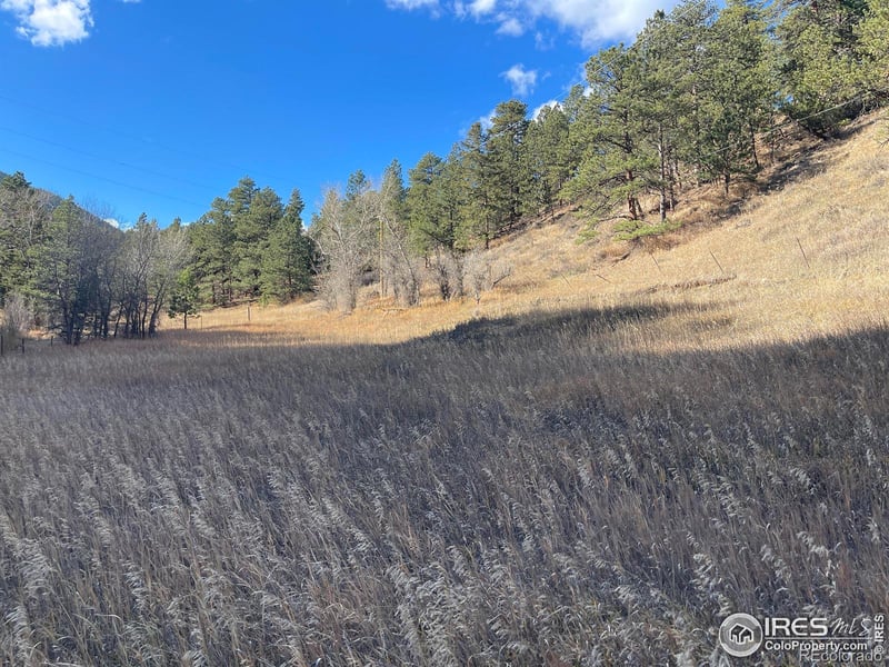 111 12th St, Jamestown, CO 80455